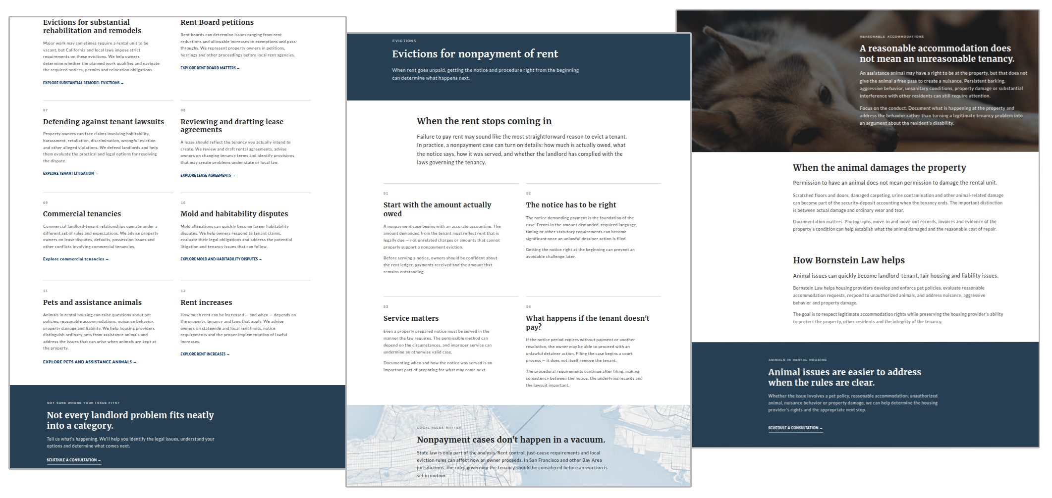 Bornstein Law practice area pages